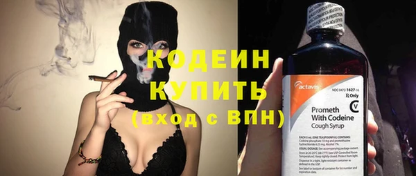 амф Верхний Тагил