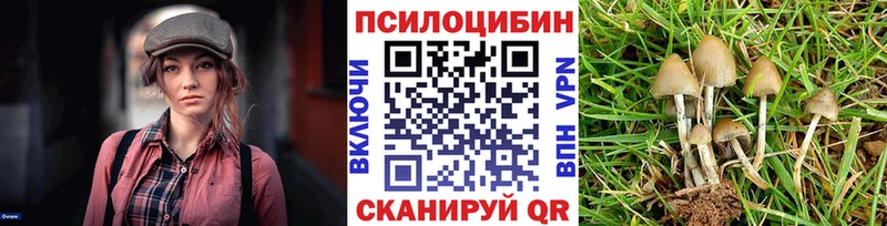 где найти   Ростов-на-Дону  MEGA сайт  Галлюциногенные грибы Psilocybe 